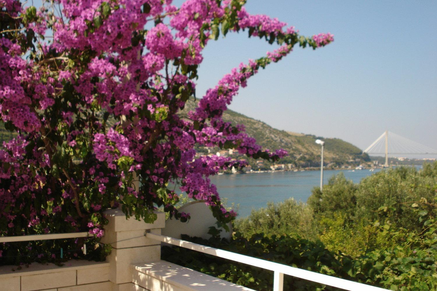 Apartments Husanovic Mokošica Extérieur photo