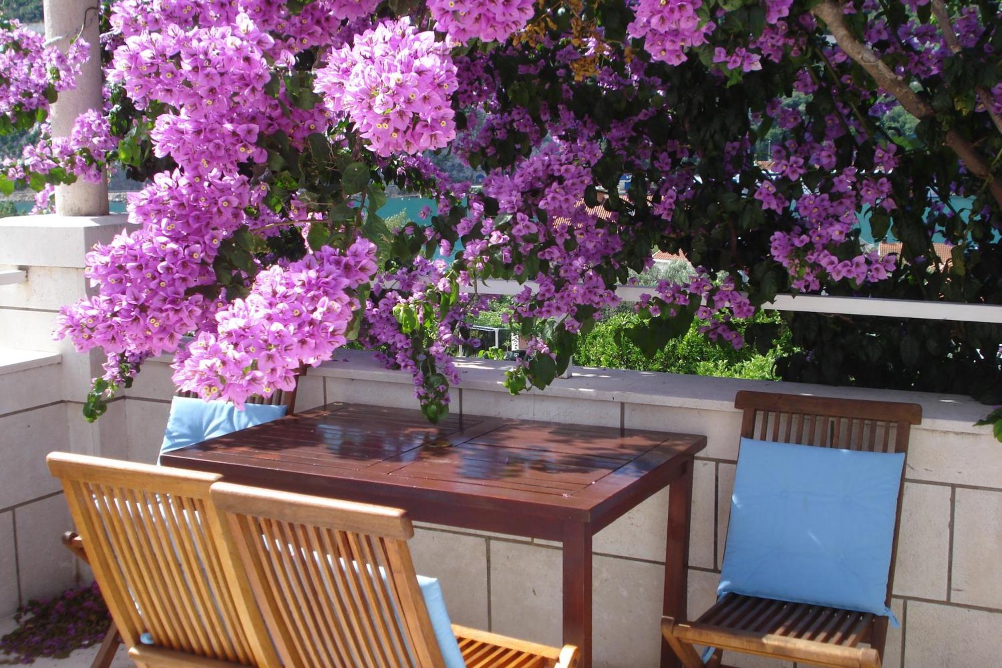 Apartments Husanovic Mokošica Extérieur photo