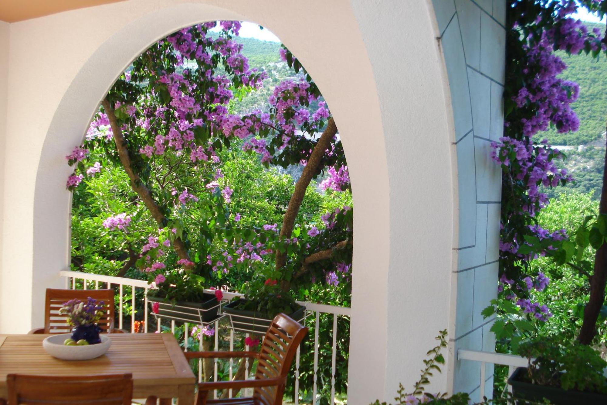 Apartments Husanovic Mokošica Extérieur photo