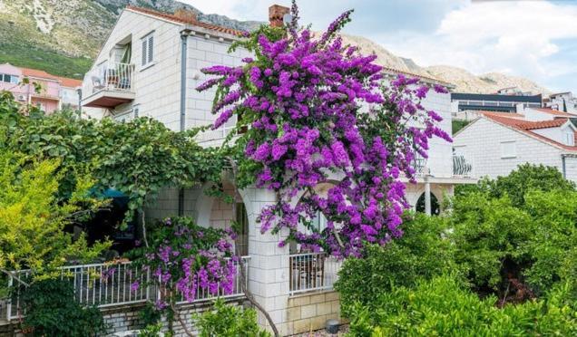 Apartments Husanovic Mokošica Chambre photo